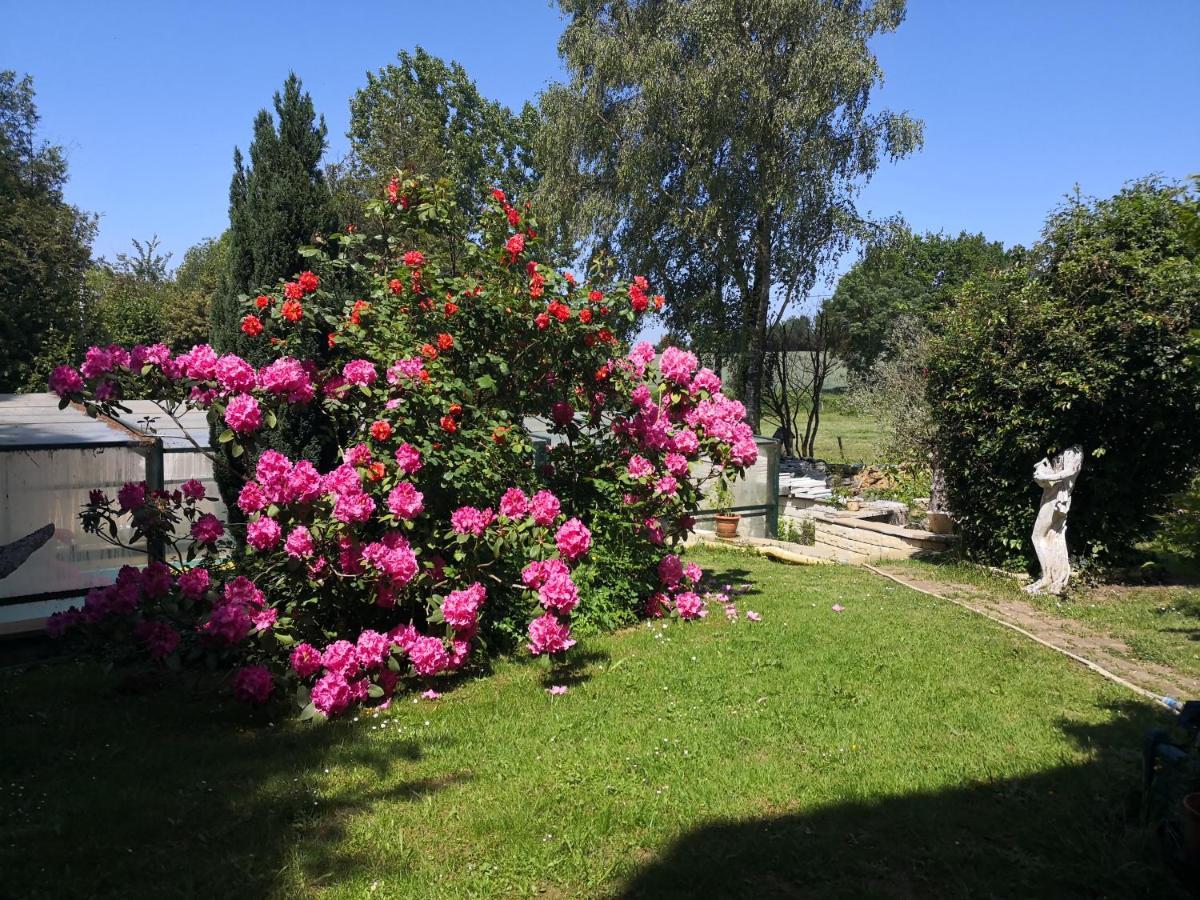 Au Jardin Fleuri Bed & Breakfast Secondigny Exterior photo